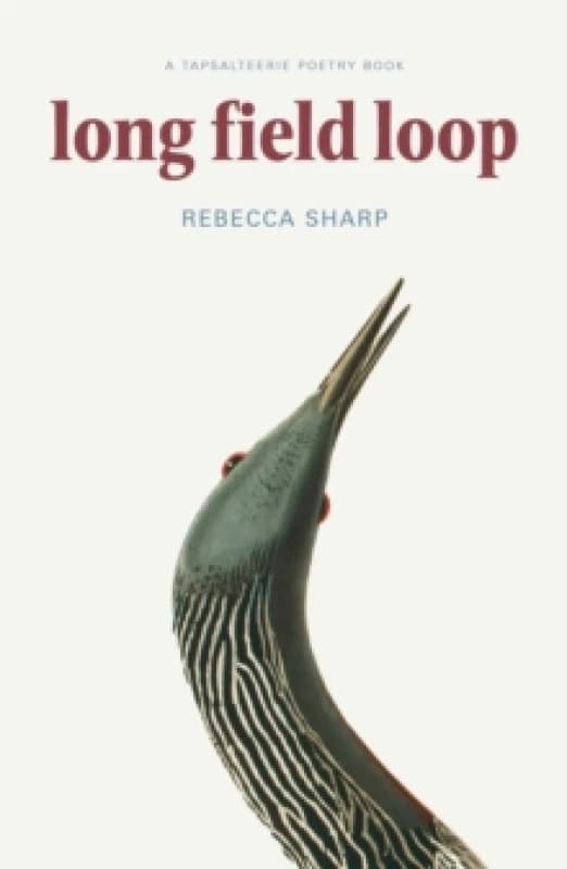 Long Field Loop Paperback / softback