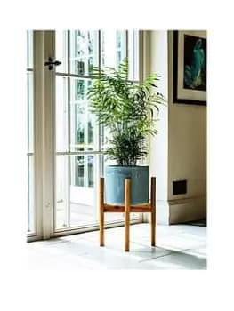 Ivyline Anzio Warm Grey Planter With Wooden Stand