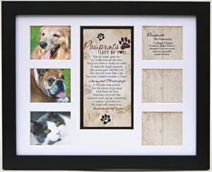 Best of Breed Wooden Collage Pet Frame