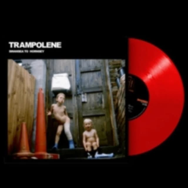 Trampolene Swansea to Hornsey (Vinyl) Anniversary 12 Album Coloured Vinyl