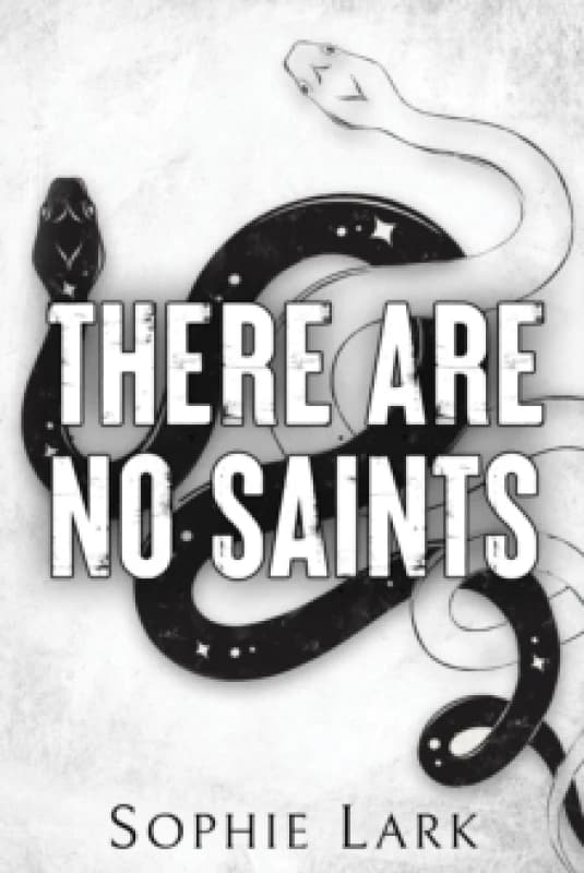 There Are No Saints Paperback / softback
