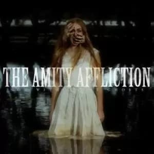 Not Without My Ghosts by The Amity Affliction Vinyl Album