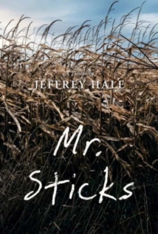Mr. Sticks Paperback / softback