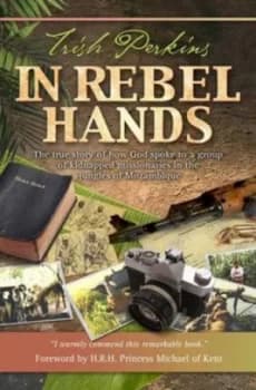 In Rebel Hands by Trish Perkins Paperback