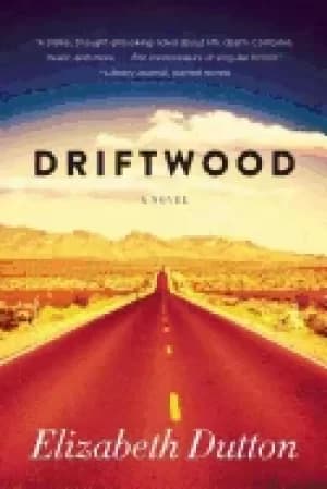 driftwood a novel