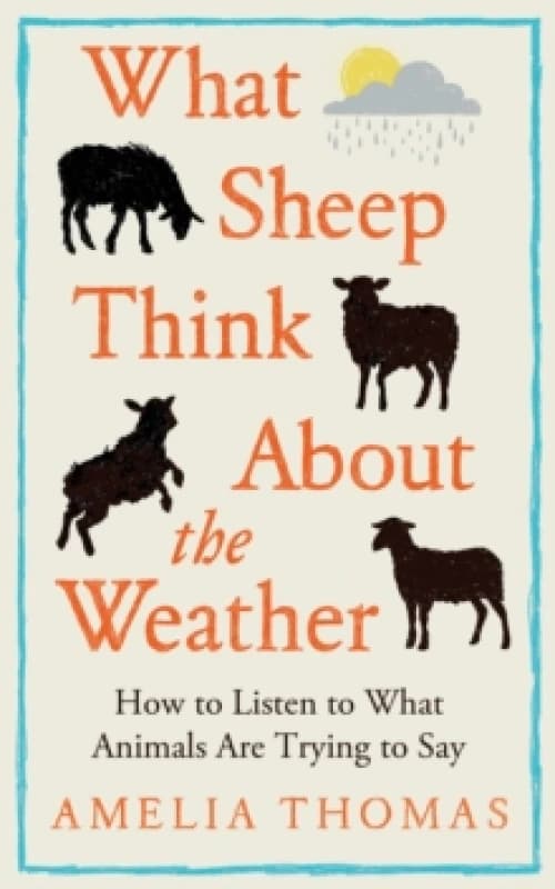 What Sheep Think About the Weather : How to listen to what animals are trying to say Hardback