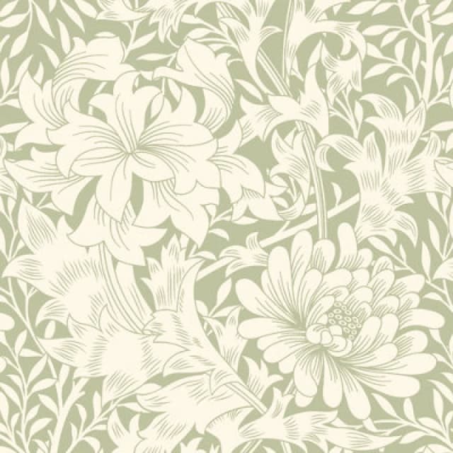 Hoopla Walls Chrysanthemum Sage Green Smooth Matt Wallpaper