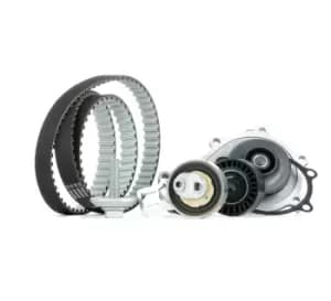 INA Water Pump + Timing Belt Kit 530 0698 30 OPEL,FORD,PEUGEOT,GRANDLAND X (A18),Crossland X (P17),Combo E Kasten / Kombi (X19)
