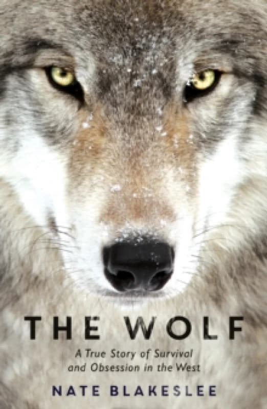 The Wolf : A True Story of Survival and Obsession in the West Paperback / softback