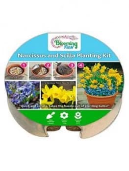 Plant O Mat Tray #6 Narcissus/Scilla 19 Bulbs
