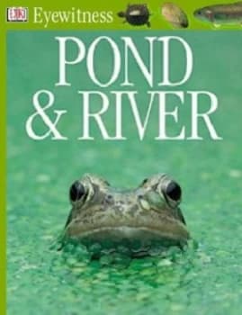 Pond and River by Steve Parker Paperback