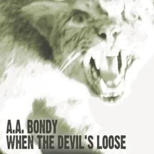 When the Devils Loose by A.A. Bondy CD Album