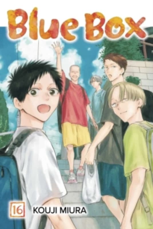 Blue Box, Vol. 16 Paperback / softback