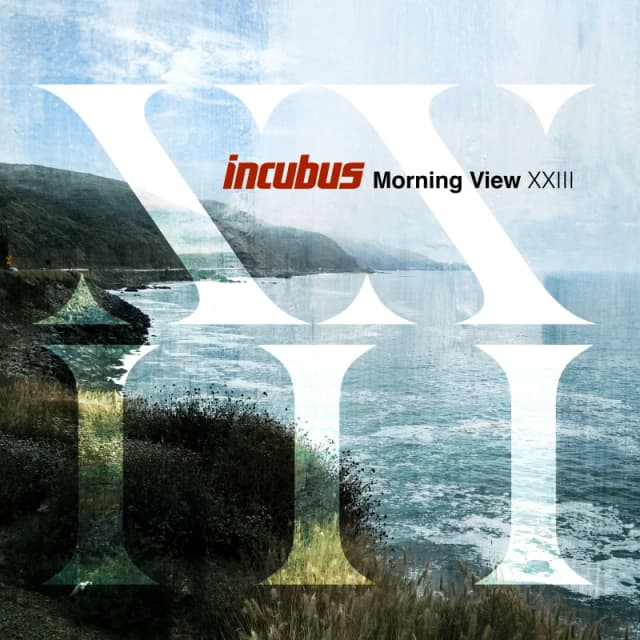 Incubus Morning view XXIII CD multicolor Onesize Unisex
