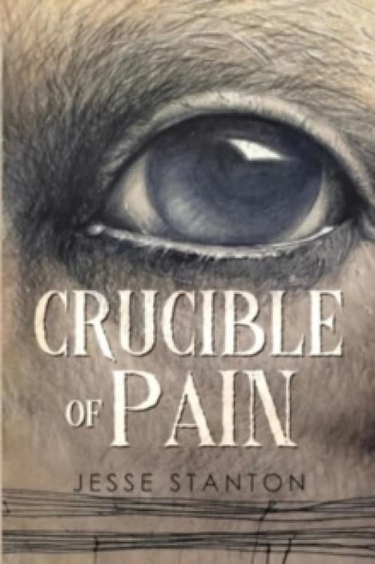 Crucible of Pain Paperback / softback