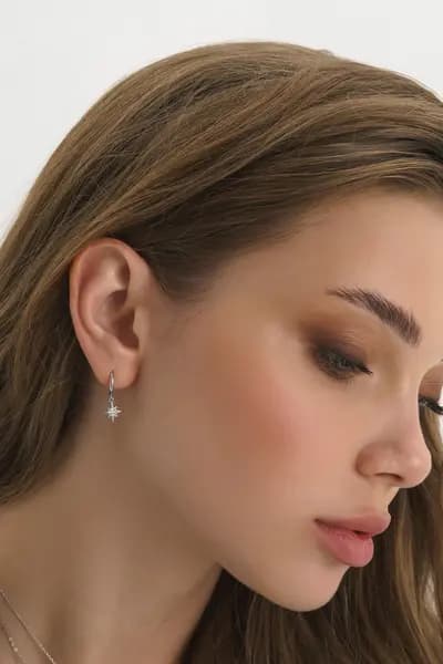 Elk & Bloom 14k Gold Star and Crescent Moon Earrings Gold