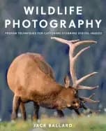 wildlife photography proven techniques for capturing stunning digital image