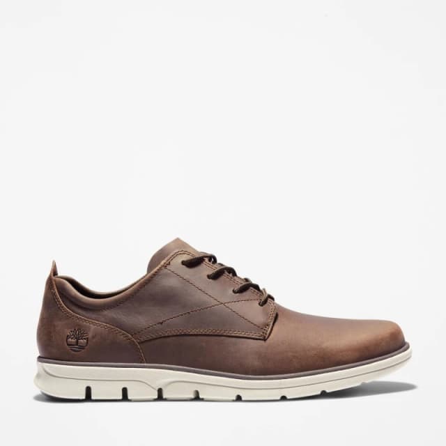 Timberland - Bradstreet Low Lace-Up Trainer for Men in Dark Brown, Man, Brown, Size: 8
