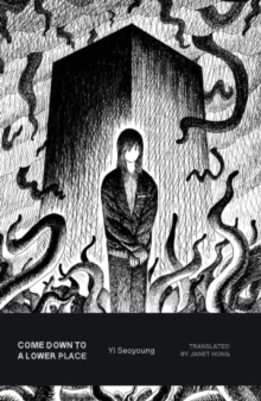Come Down to a Lower Place Paperback / softback