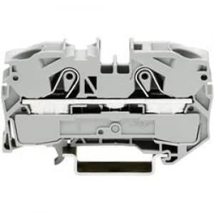 Continuity 12mm Pull spring Configuration L Grey