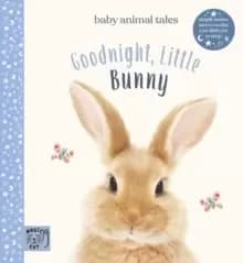 Goodnight, Little Bunny : Simple stories sure to soothe your little one to sleep