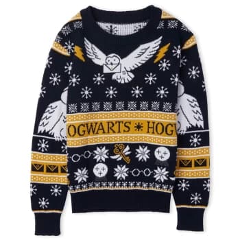 Harry Potter Owl Mail Kids Festive Knitted Jumper - Navy - L