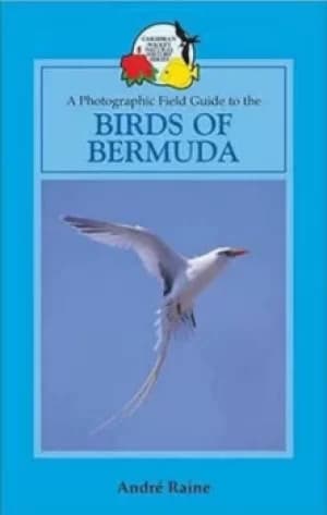 Birds of Bermuda by Andre Raine