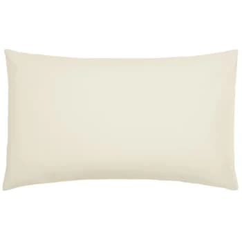 Bedeck of Belfast Bedeck of Belfast 200TC Pima Plain Dye Standard Pillowcases - CASHMERE