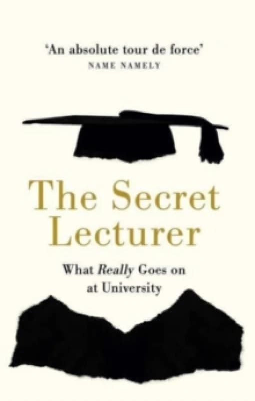 The Secret Lecturer : What Really Goes on at University Paperback / softback