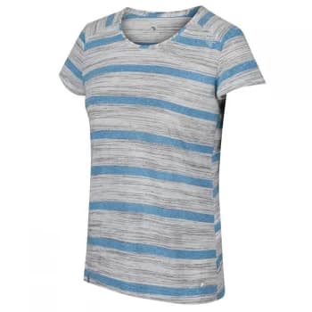 Regatta Limonite IV - Blue Aster