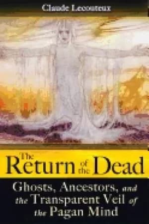 return of the dead ghosts ancestors and the transparent veil of the pagan m
