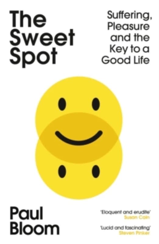 The Sweet Spot : Suffering, Pleasure and the Key to a Good Life Paperback / softback