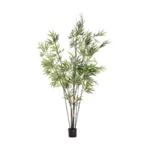 Crossland Grove Bamboo W/859 Leaves 450X450X1520Mm