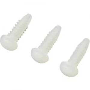 KSS 538766 x L 6.3mm x 14.9mm Ecru