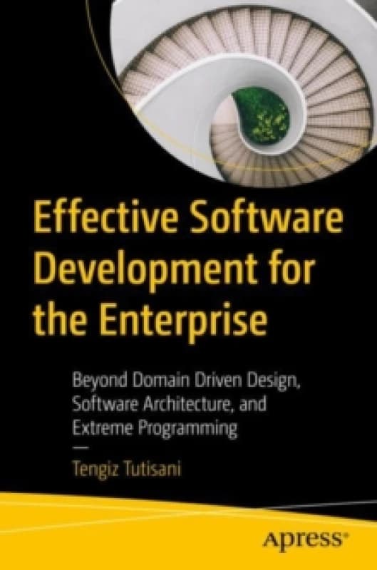 Effective Software Development for the Enterprise : Beyond Domain Driven Design, Software Architecture, and Extreme Programming Paperback / softback