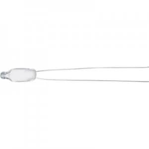 Glow lamp 110 V 120 V 220 V 250 V Wire ends Warm white