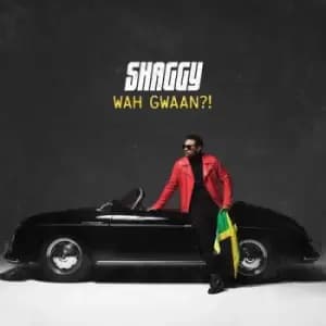 Wah Gwaan? by Shaggy CD Album