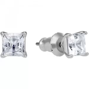 Swarovski Attract Pierced Earrings