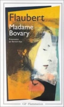 Madame Bovary by Gustave Flaubert and Bernard Ajac Book
