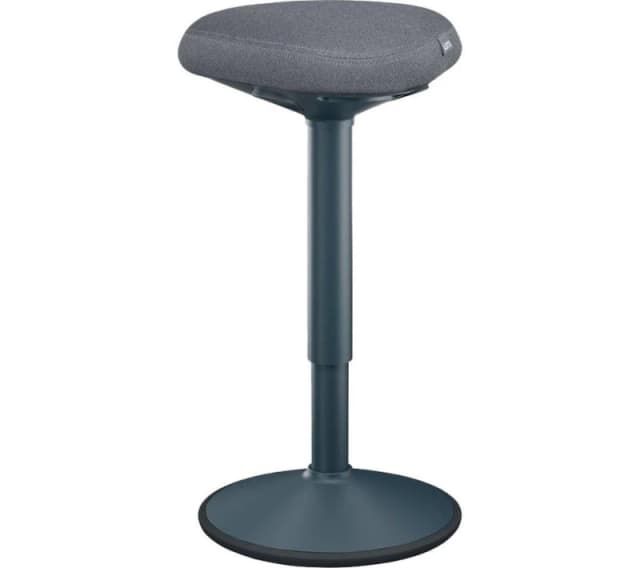 Leitz Ergo Active Standing Stool with Co GJQ35034J