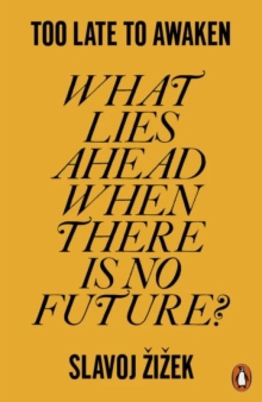 Too Late to Awaken : What Lies Ahead When There is No Future? Paperback / softback