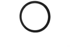 EPS Gaskets 1.890.568 Gasket, thermostat OPEL,RENAULT,NISSAN,Vivaro A Kastenwagen (X83),Vivaro A Combi (X83),Vivaro A Pritsche / Fahrgestell (X83)