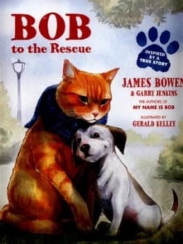 Bob to the Rescue by James Bowen Paperback