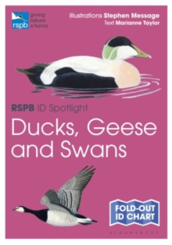 RSPB ID Spotlight - Ducks, Geese and Swans Fold-out book or chart