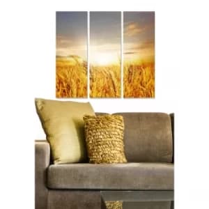 MDF56100727 Multicolor Decorative MDF Painting (3 Pieces)