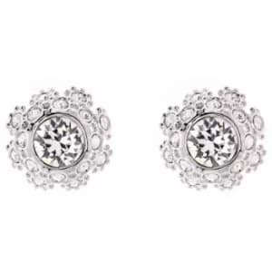Ted Baker Ladies Silver Plated Seraa Crystal Daisy Lace Stud Earring