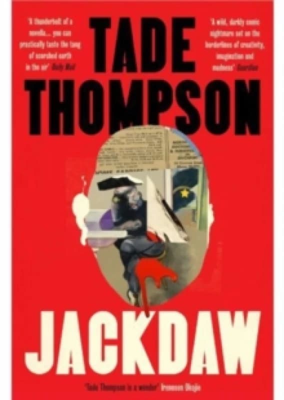 Jackdaw Paperback / softback