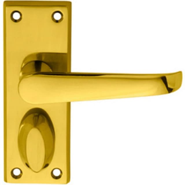 Loops PAIR Straight Handle on Short Privacy Backplate 118 x 42mm Polished Brass Metallics