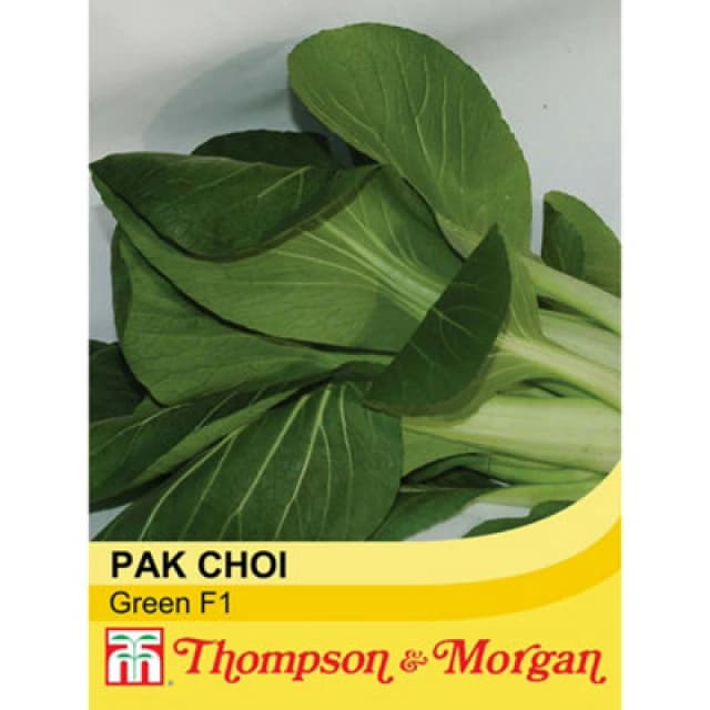 Thompson & Morgan Pak Choi Green F1 Hybrid 1 Seed Packet (150 Seeds)