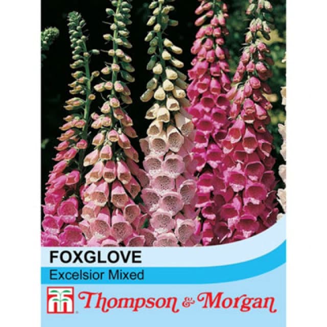 Thompson & Morgan Foxglove Excelsior Hybrid Mixed 1 Packet (2500 Seeds)